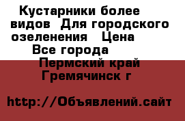 Кустарники более 100 видов. Для городского озеленения › Цена ­ 70 - Все города  »    . Пермский край,Гремячинск г.